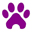 North Dallas Pet Care Icon