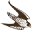 Peregrine Outdoor Products Icon