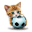 sportCat Icon