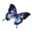 Pelvic Pain Relief Icon