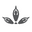 Lilium Active Icon
