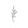 Nutravive Icon