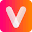 Vidgenie.ai Icon