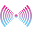 Nova Echo Icon