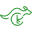 Crazy Kangaroo Icon