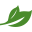 Alba Botanica Icon