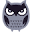 Darwinex Zero Icon