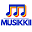 Musikkii Icon