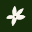 Jasmisilk Icon