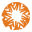 CARE Australia Icon