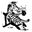Team-Zebra Icon