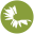 Wildflower Icon