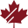 Scotiabank Toronto Waterfront Marathon Icon