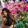 Sparklingbeautybee Icon