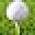 CEOgolfshop Icon