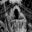 Darksideofthecon Icon