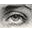David Hart Icon