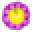 Finchfamilygames Icon