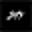 Stronger Than Yesterday Icon