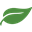 The Fresh Market Icon