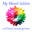 Mymiraclesolution Icon