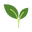 Naturasil Icon