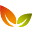 Flower Power Icon