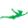 Peter Pan Icon