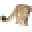 Lakeland Wildlife Oasis Icon