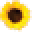 Sunflowerguy.com Icon