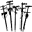 Byronwinton Icon