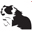 CAMDDWR CANINE UK Icon