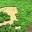 Teresasplants Icon