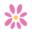 LaLa Daisy Icon
