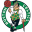 Boston Celtics Icon
