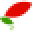 Crocus Icon