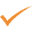 Codingleader Icon