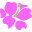 Avas Flowers Icon