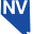 Startupnv Icon
