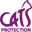 Cats Icon