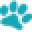 Sureflap US Icon