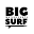 Big Surf Icon
