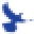DrColbert.com Icon