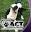 Animalcompassionteam Icon