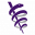 Ama-assn Icon