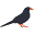 Chough Bakery Icon