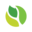 Brake Icon