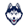 Uconn Huskies Icon