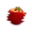Sialcanada Icon