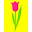Sunshinetulipdesign Icon